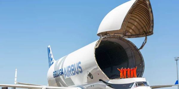 Beluga Airbus