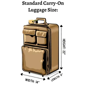 Average carry on bag size online