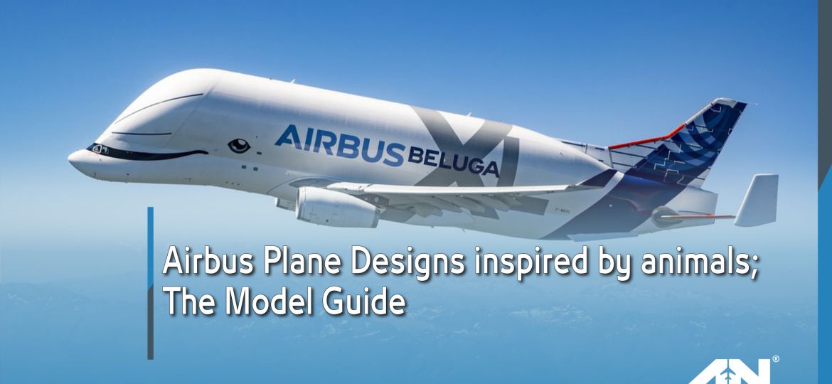 Airbus plane designs