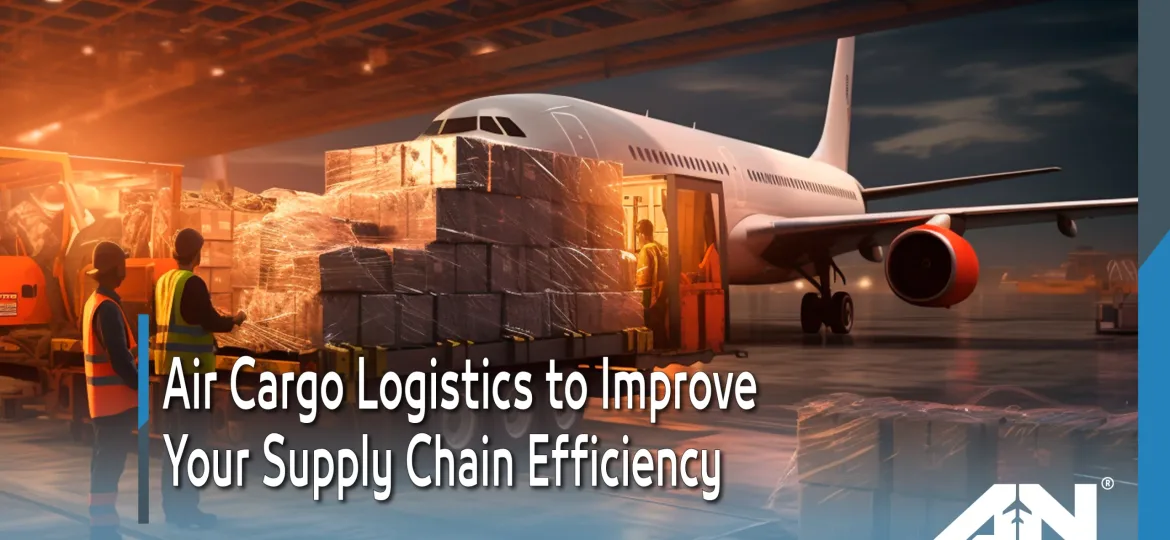 Air Cargo Logistics