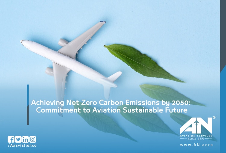 Net Zero Carbon Emissions by 2050